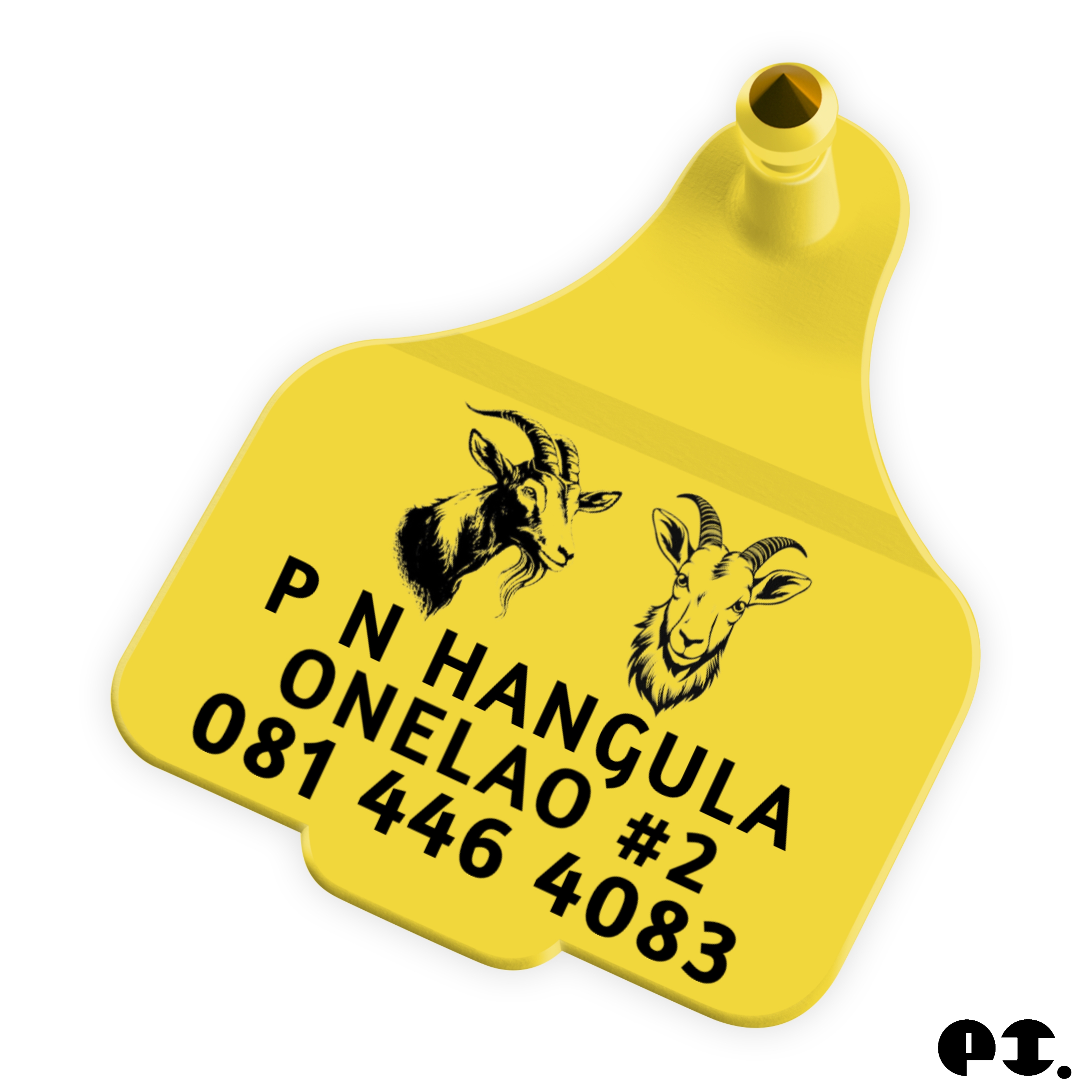 Logo Design